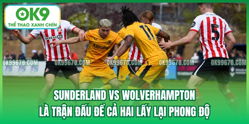 Sunderland vs Wolverhampton là trận đấu để cả hai lấy lại phong độ