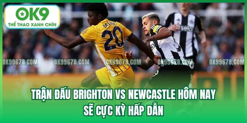 Trận đấu Brighton vs Newcastle hôm nay sẽ cực kỳ hấp dẫn